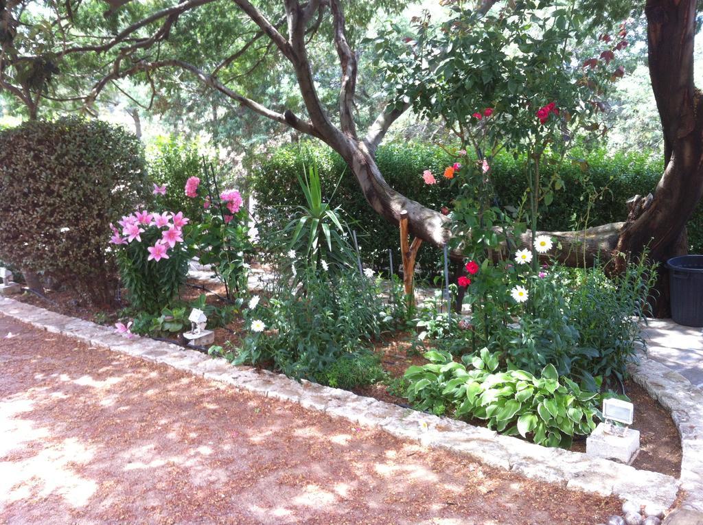 Villa Elofred แซ็งต์-โฟลร็องต์ ห้อง รูปภาพ
